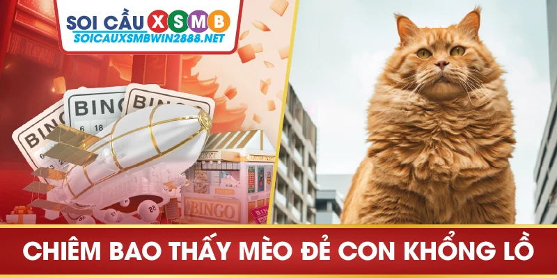 Chiêm bao thấy mèo đẻ con khổng lồ