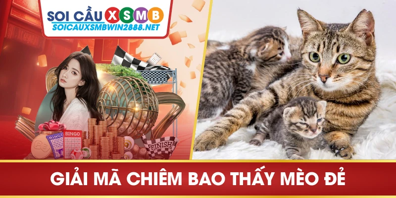 Giải mã chiêm bao thấy mèo đẻ