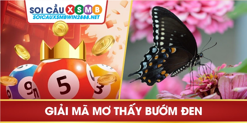 Giải mã giấc mơ thấy bướm đen