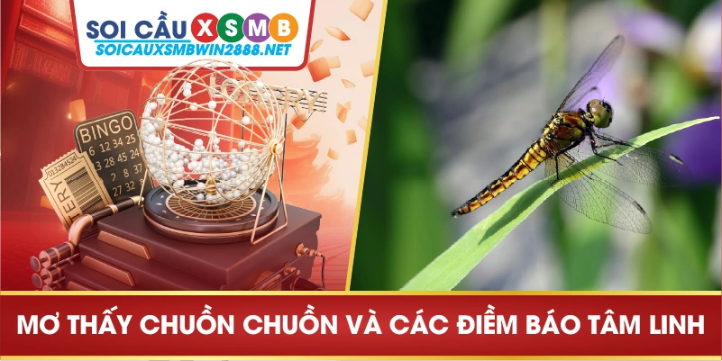 Mơ thấy bắt được chuồn chuồn