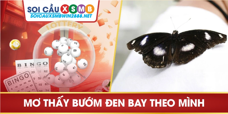 Chiêm bao thấy bướm đen bay theo mình