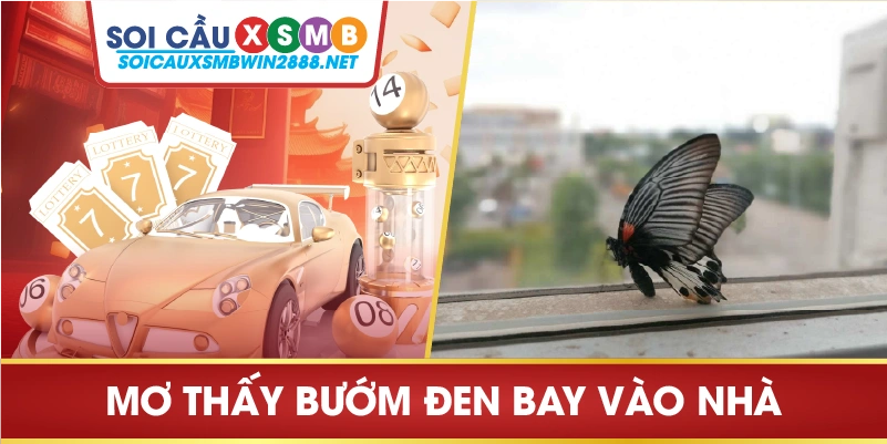 Mơ thấy bướm đen bay vào nhà
