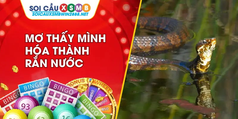 Mơ thấy mình hóa thành rắn nước