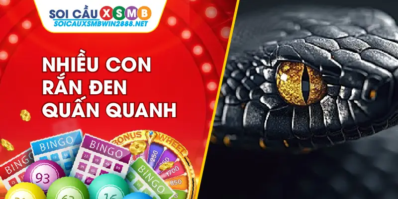 Mơ thấy nhiều rắn đen cùng lúc