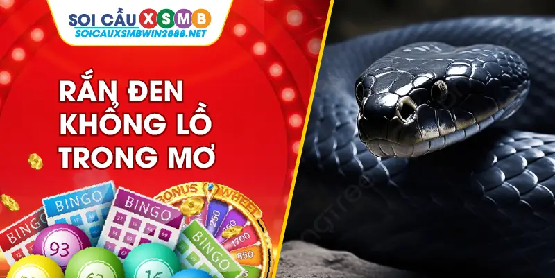 Nằm mơ thấy rắn đen khổng lồ